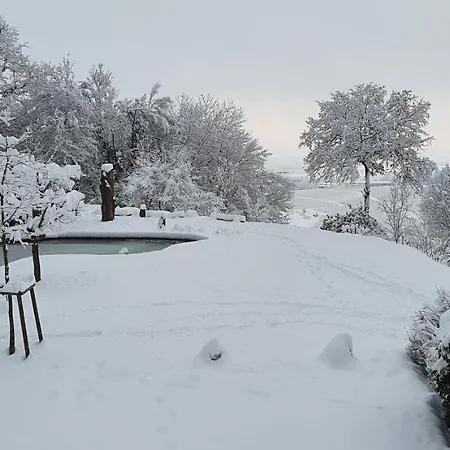 Paradies 1 * Döttingen