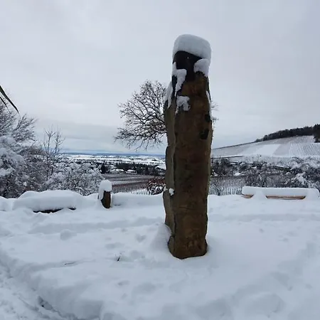 Apartament Paradies 1