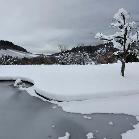 Paradies 1 Apartament Döttingen