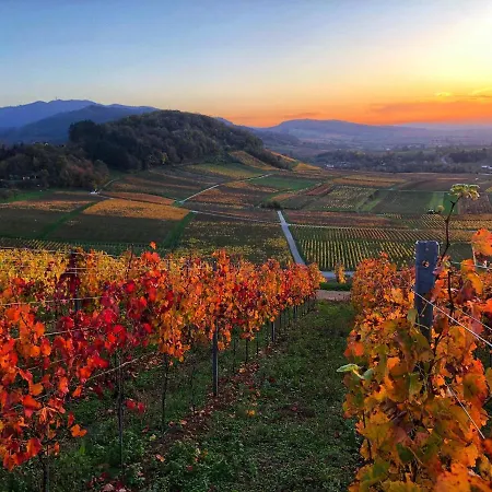 Paradies 1 Apartament Döttingen