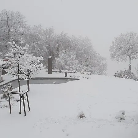 Paradies 1 アパート Döttingen