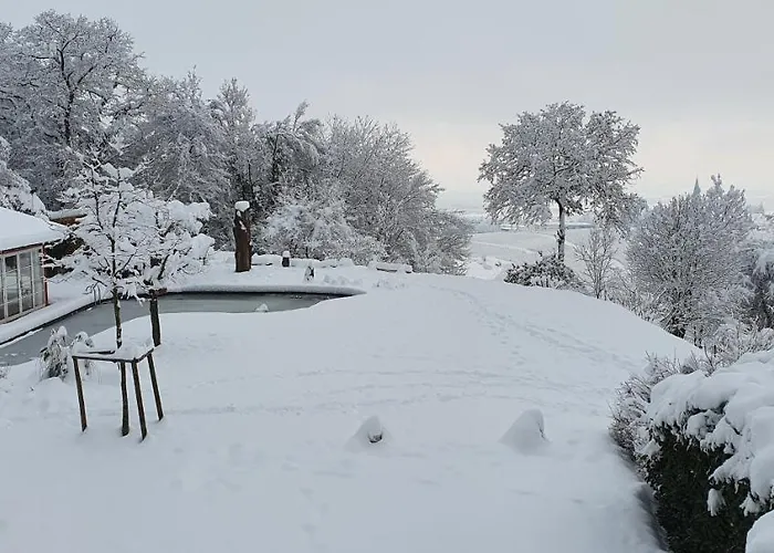 Paradies 1 * Döttingen