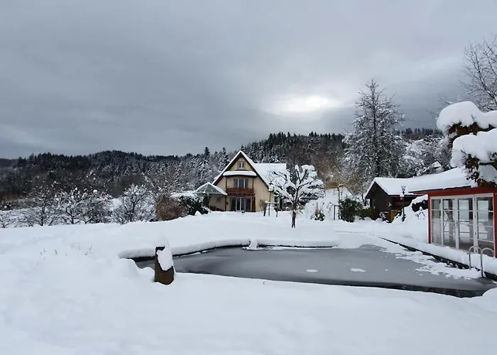 Paradies 1 Apartamento Döttingen