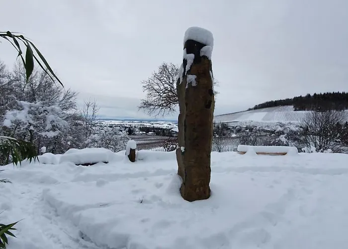 Apartamento Paradies 1