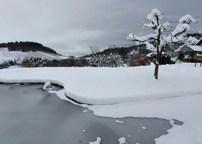 Paradies 1 Апартаменты Доттинген