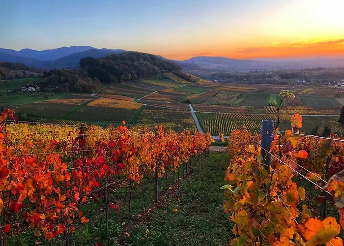 Paradies 1 Apartamento Döttingen