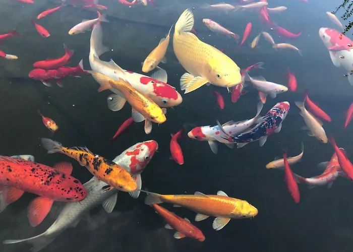 Paradies 1 Döttingen